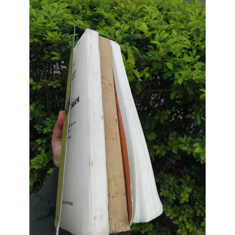 Ngữ văn Hán Nôm do Đặng Đức Siêu chủ biên 970756