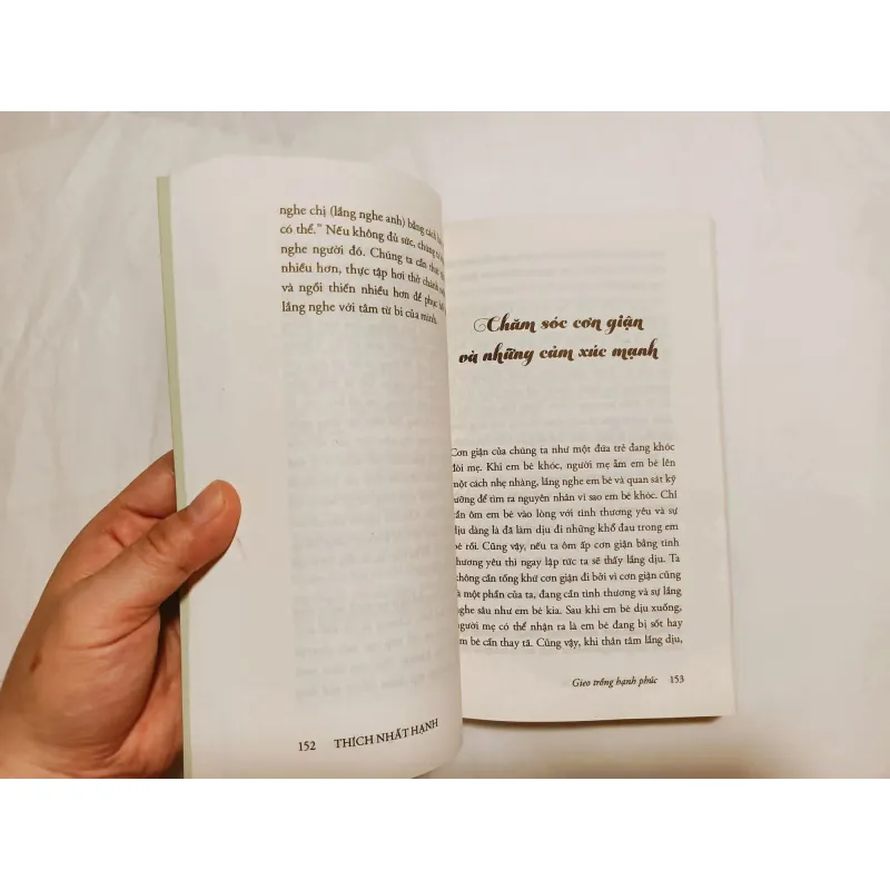 Gieo Trồng Hạnh Phúc - Thích Nhất Hạnh 754210