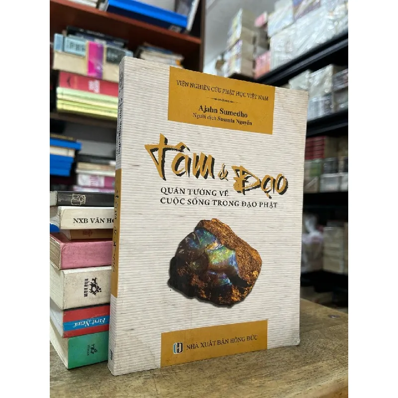 Tâm và đạo quán tướng về cuộc sống đạo Phật - Ajahn Sumedho 706975