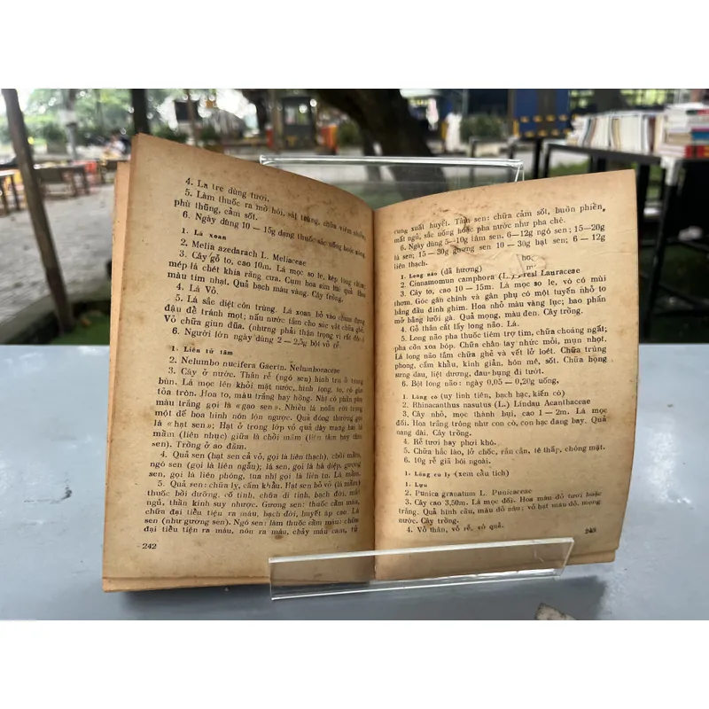 CHỮA BỆNH CẤP CỨU VÀ CẤP TÍNH THÔNG THƯỜNG BẰNG THUỐC NAM 589796