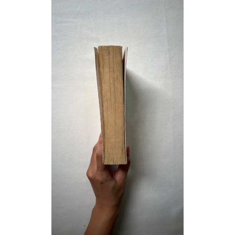 The Hundred-Year-Old Man Who Climbed Out the Window and Disappeared - Jonas Jonasson 1028832