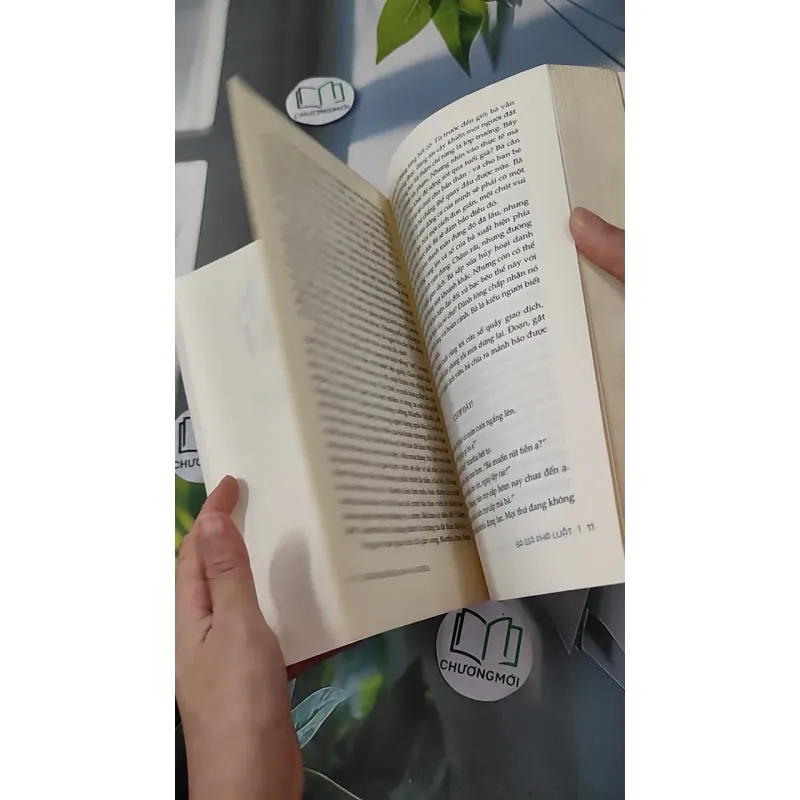 Bà già phá luật - Catharina Ingelman-Sundberg 1018843