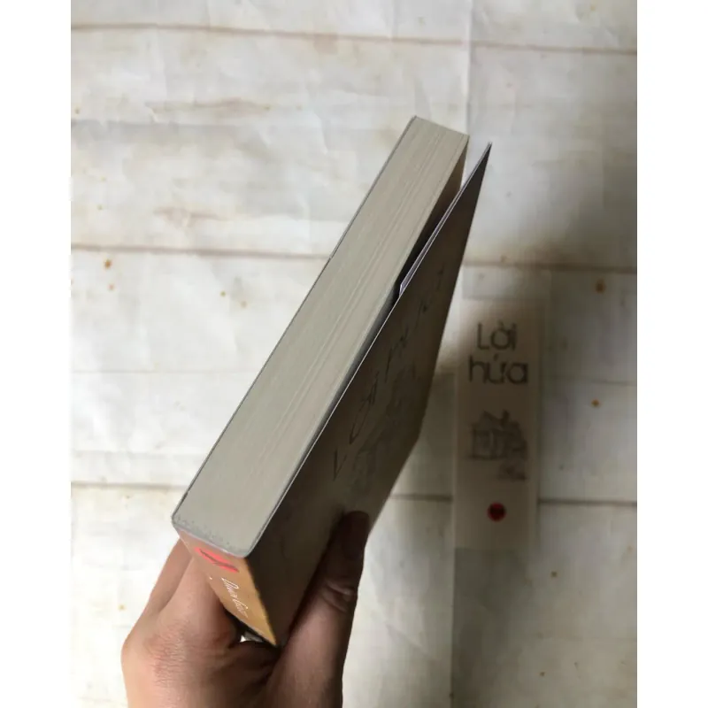 Lời Hứa - Damon Galgut (Giải Booker 2021) 745410