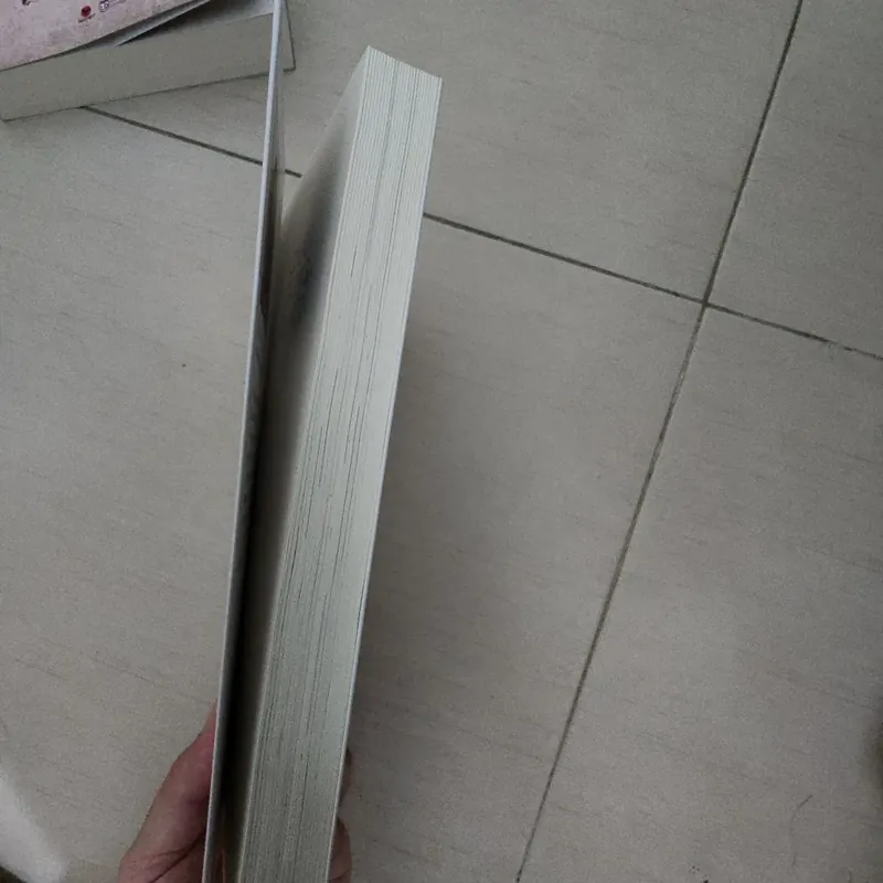 Sách Chân dung của ly hôn 719817