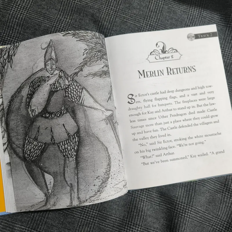 King Arthur anh the Knights of the Round Table - Benedict Flynn (Hardcover) 777867