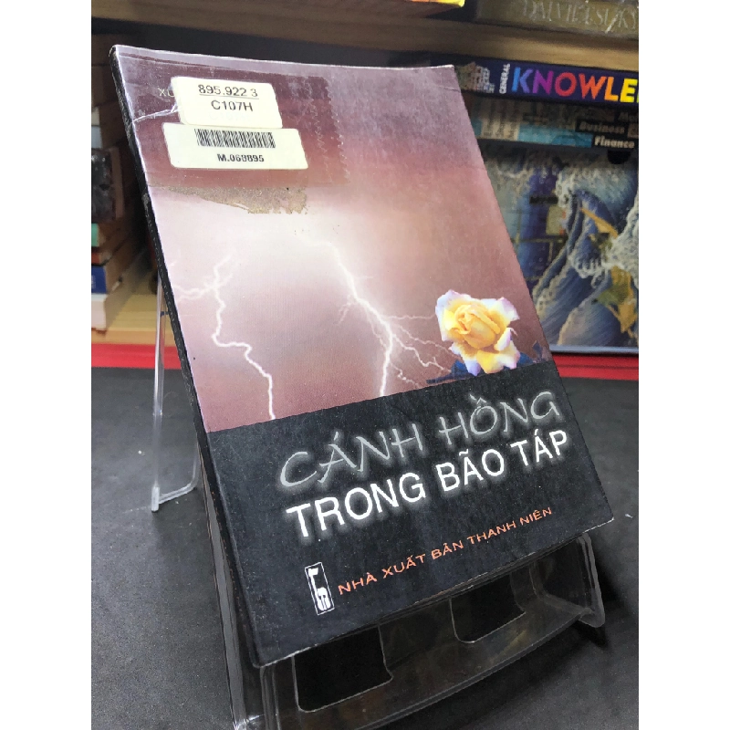 Cánh hồng trong bão táp 2004 mới 70% ố bẩn nhẹ Xuân Thành HPB0906 SÁCH VĂN HỌC 451314