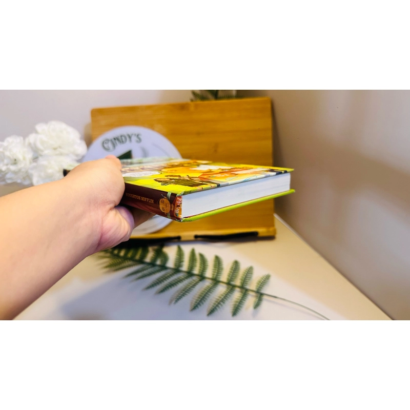 [Sách tiếng Anh 2hand] Like new 90% - The Adventures of Beanboy - Lisa Harkrader 479718