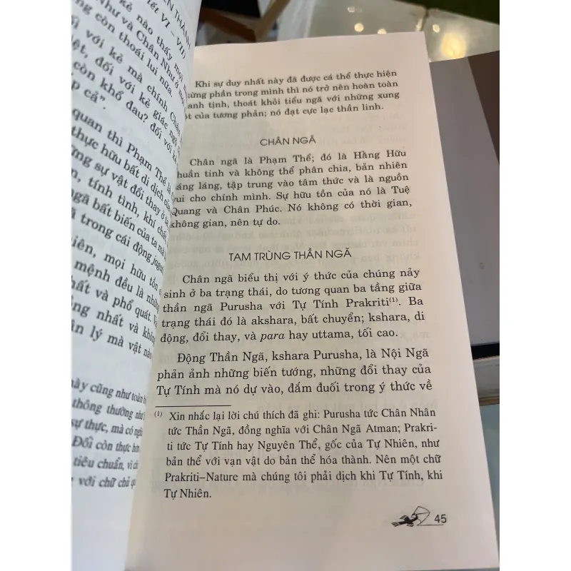 ÁO NGHĨA THƯ (UPANISHADS) - SHRI AUROBINDO  1010427