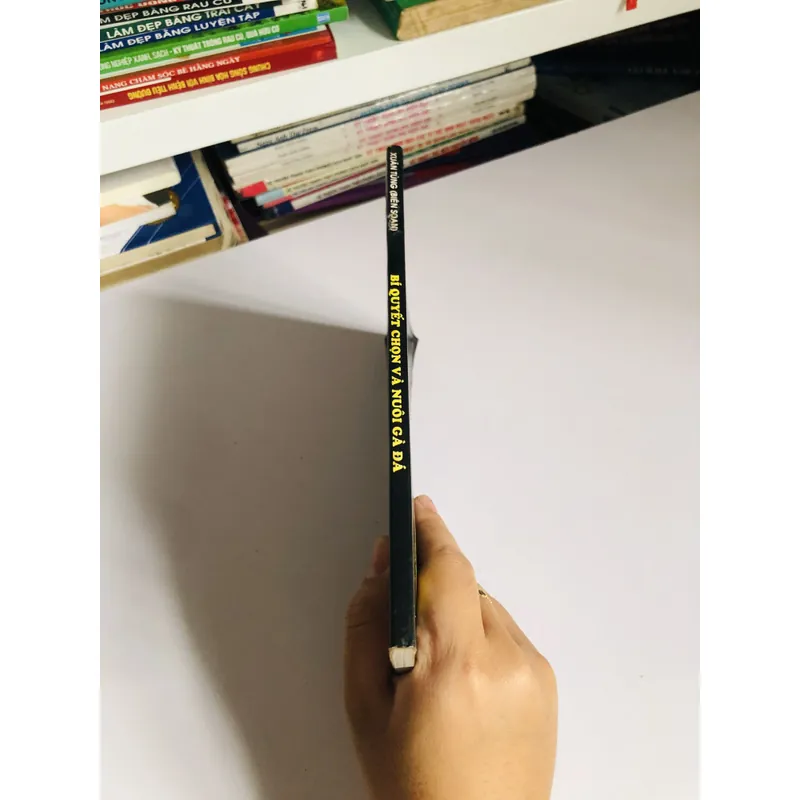 BÍ QUYẾT CHỌN VÀ NUÔI GÀ ĐÁ 601424