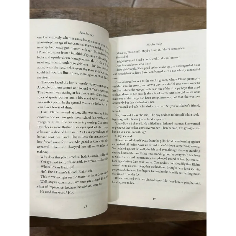 The Bee Sting - Paul Murray 731957