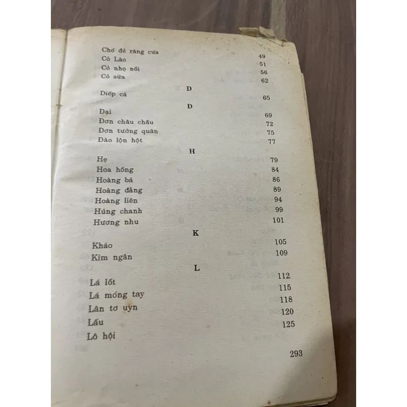 Thuốc chữa bệnh nhiễm khuẩn từ cây cỏ trong nước  788964