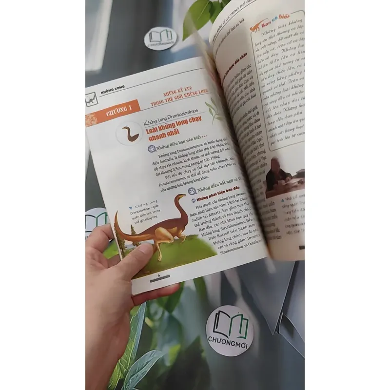 Khám phá bí ẩn thế giới tự nhiên: Khủng long 1018834