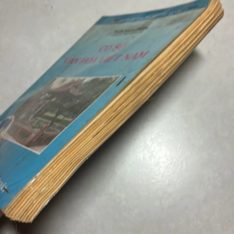 Cơ sở văn hoá Việt Nam - Trần Ngọc Thêm 777758