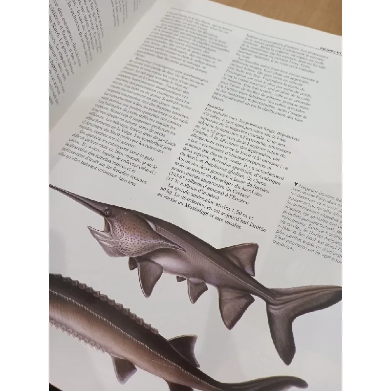 Le grand livre des poissons 559768