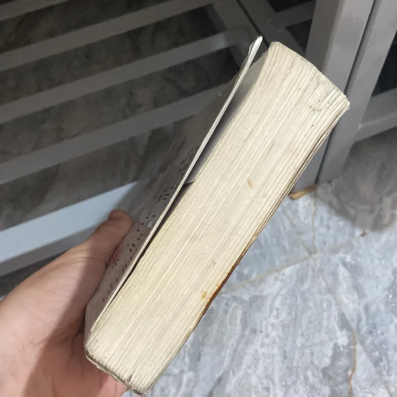 Gió đem ký ức thổi thành những cánh hoa - Diệp Lạc Vô Tâm 957823