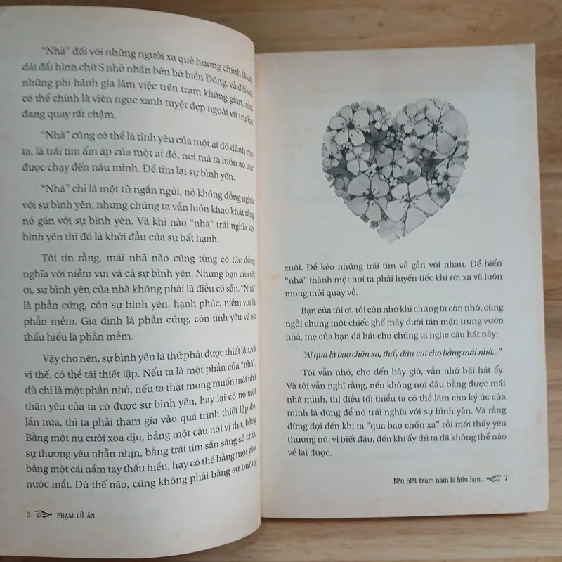 Nếu Biết Trăm Năm Là Hữu Hạn - Phạm Lữ Ân 656551