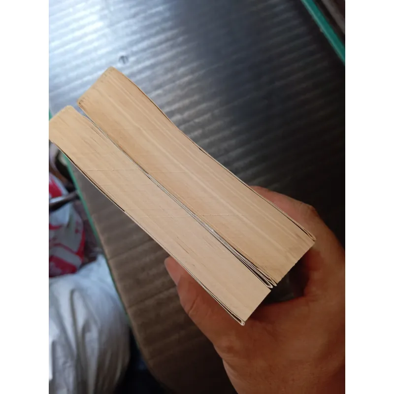 Đại ca 1&2 ( Phần 2 bộ Cậu bé cưỡi rồng) 996945