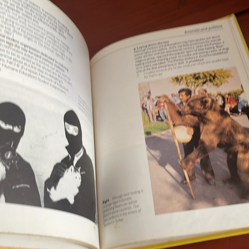 PICTURE BOOK Animal rights 536962