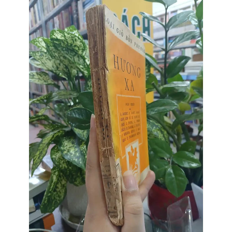 HƯƠNG XA     752873