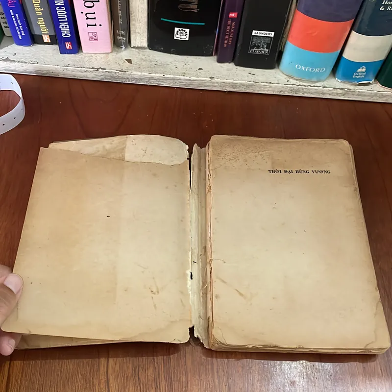 II Sách Xưa: Thời Đại Hùng Vương - 1973 562348