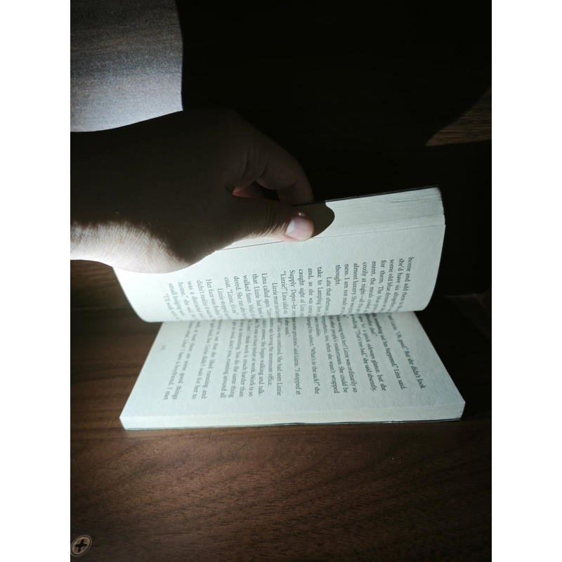 Ngoại văn The City of Ember (The City of Ember, #1) - Jeanne DuPrau 548289