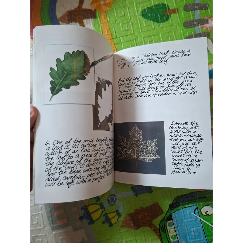 The Secret Book of the Gnomes - Volume 18 989787