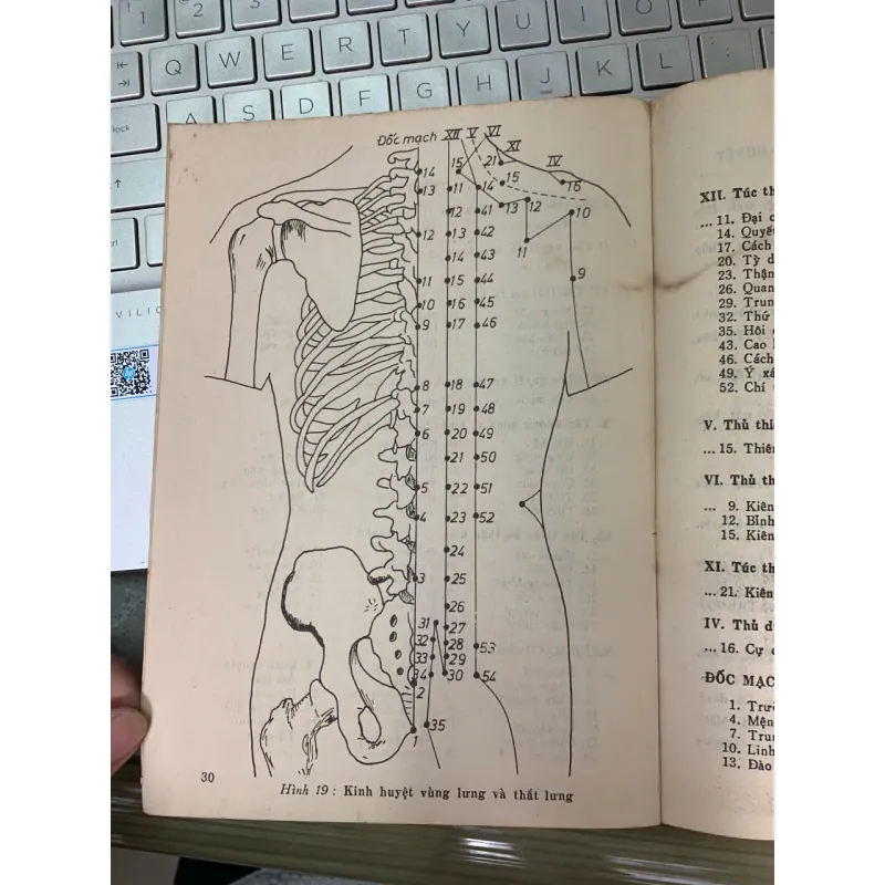 SỔ TAY CHÂM CỨU - LƯƠNG Y THƯỢNG TRÚC 572154