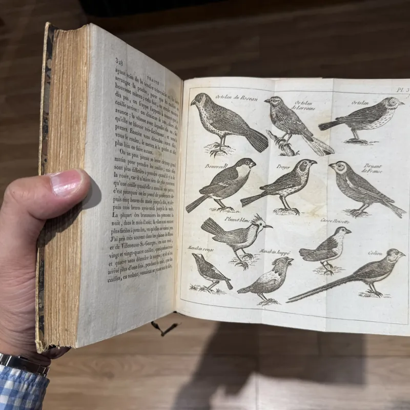 Bách khoa toàn thư về chim- sách Pháp 203 năm  675436