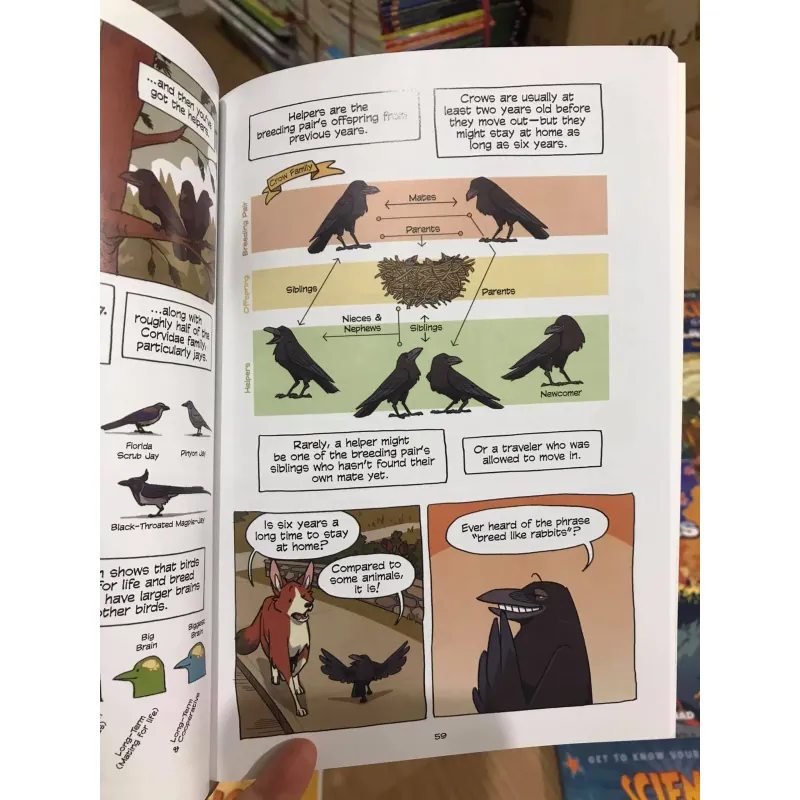 Science Comics (Sách nhập) - Full bộ 32 quyển mới nhất 1038292