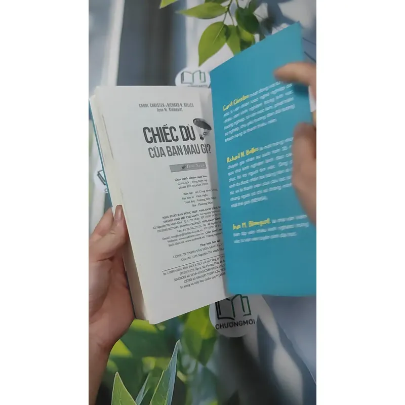 Chiếc Dù Của Bạn Màu Gì? - Richard N. Bolles 961159