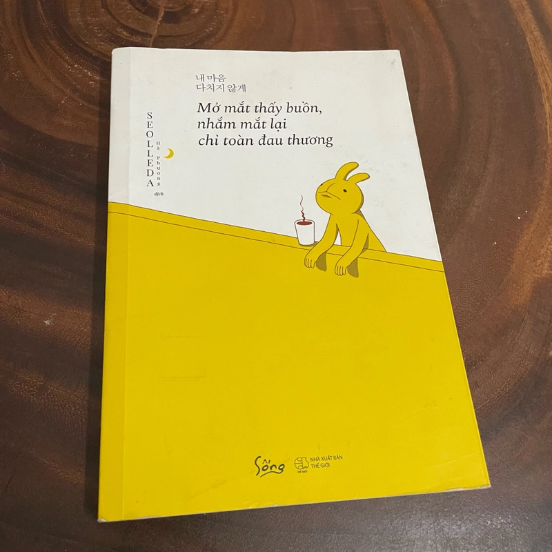 II Tựa sách: Mở Mắt Thấy Buồn, Nhắm Mắt Lại Chỉ Toàn Đau Thương - SEOLLEDA - 2020 463345