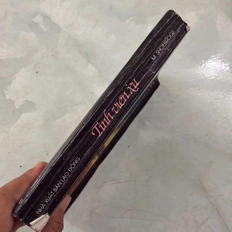 Tình viễn xứ - M. Shoebroge 996958