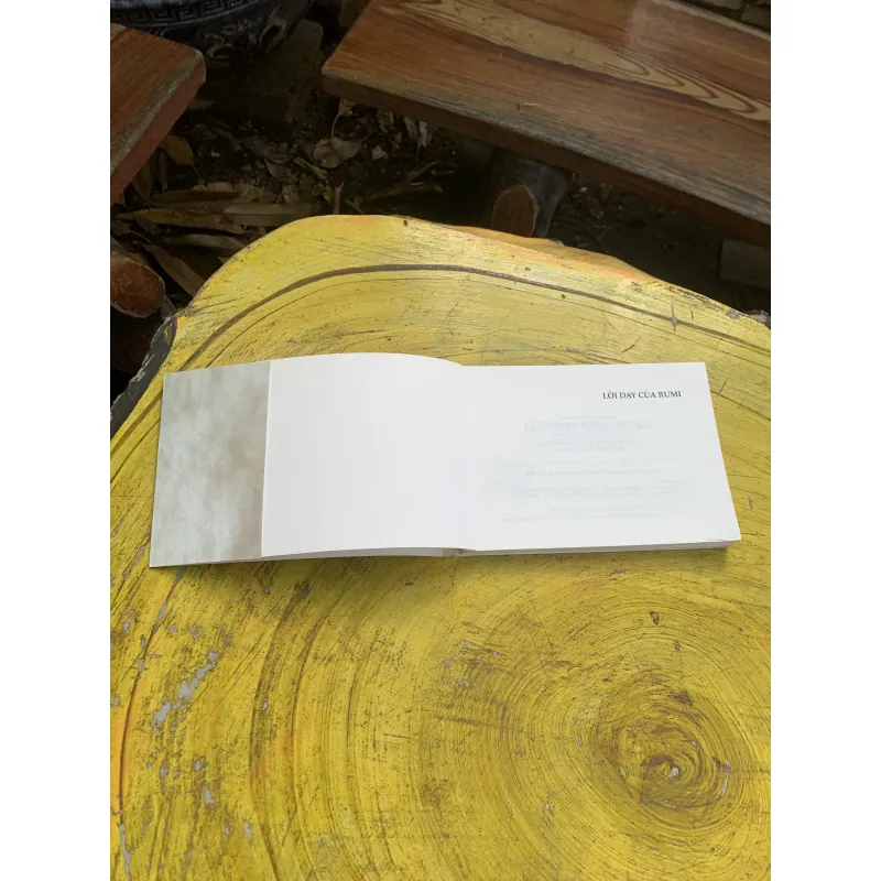 COMBO NGÔN SỨ & LỜI DẠY CỦA RUMI 750342