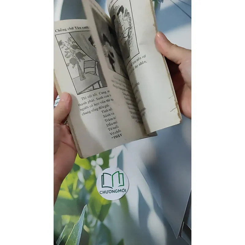 Cao Ly Đầu Hình 928569