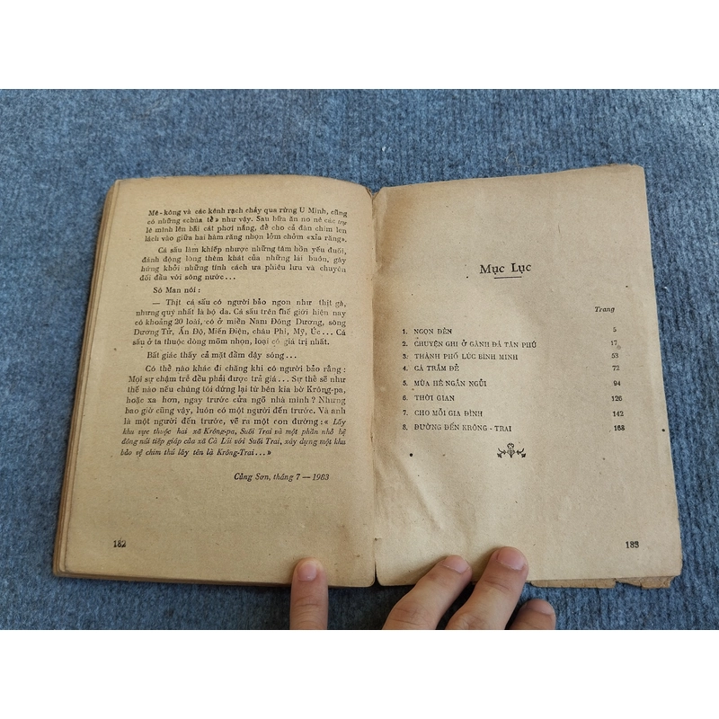 NGỌN ĐÈN - CAO DUY THẢO 548164