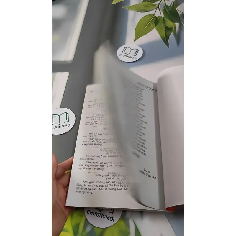 Căn Duyên Tiền Định 727287