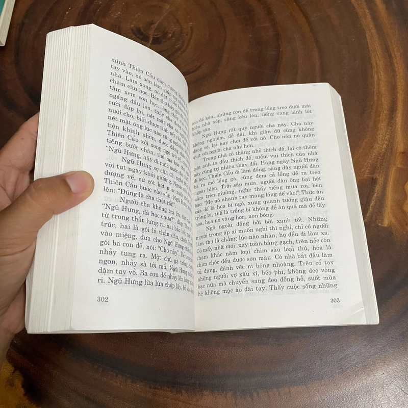 II Tựa sách: Truyện Ngắn _ Giả Bình Ao - 2003 462798