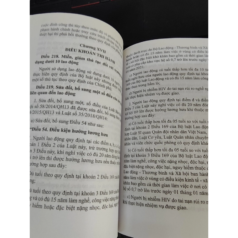 Bộ Luật Lao Động - Song ngữ Việt - Anh 1017450