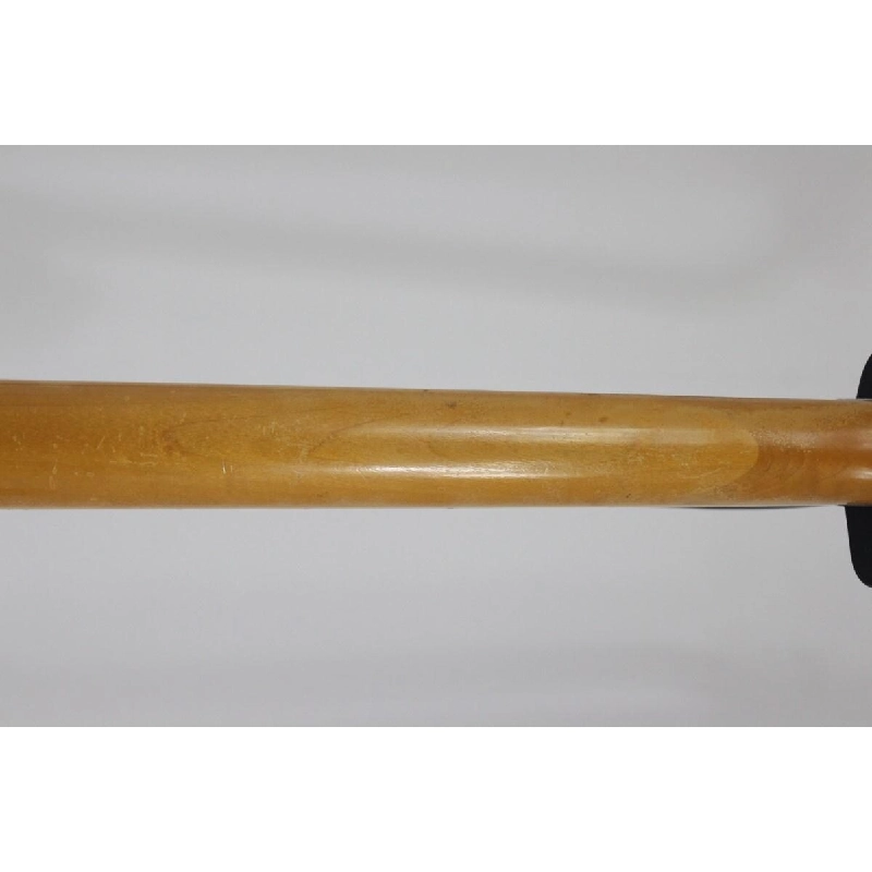 ＡＲＩＡ ＰＲＯ ＩＩ ＭＡ－１００ - Hàng hiệu Authentic 885010