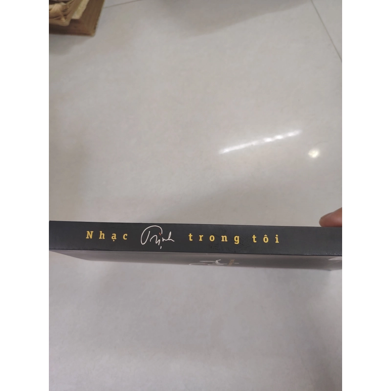 Nhạc trịnh trong tôi 495995