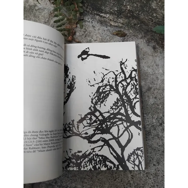 Ngọn lửa Nga tập thơ của Nikolai Rubtsov 1003435