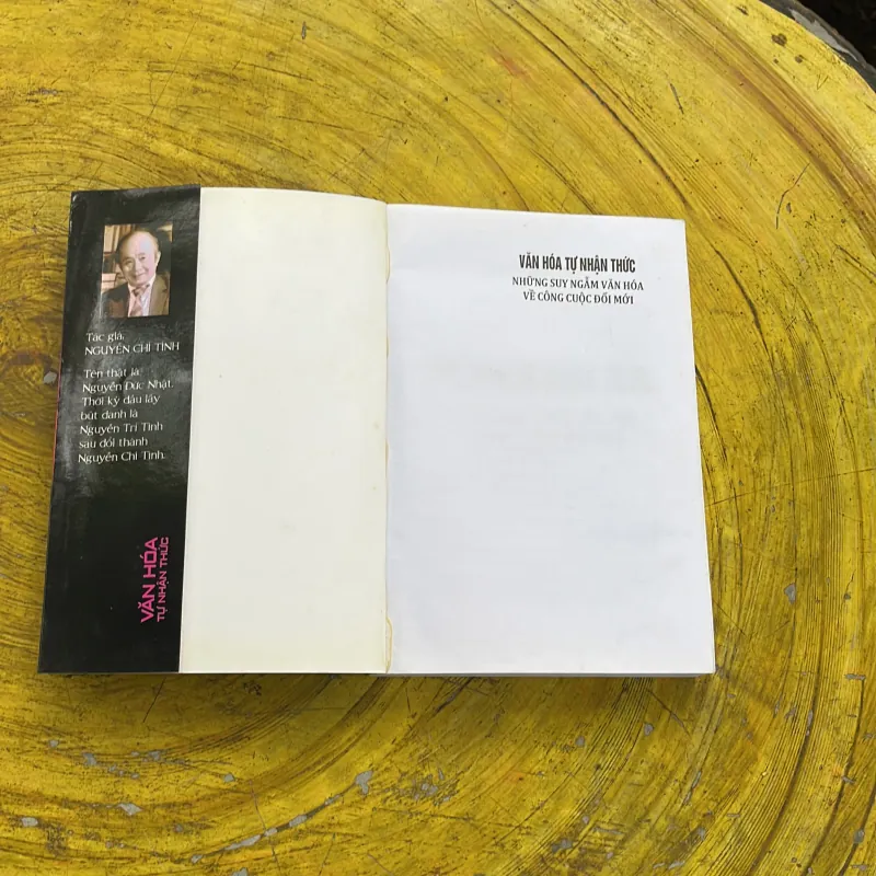 VĂN HOÁ TỰ NHẬN THỨC những suy ngẫm văn hoá về công cuộc đổi mới- NGUYỄN CHÍ TÌNH 779061