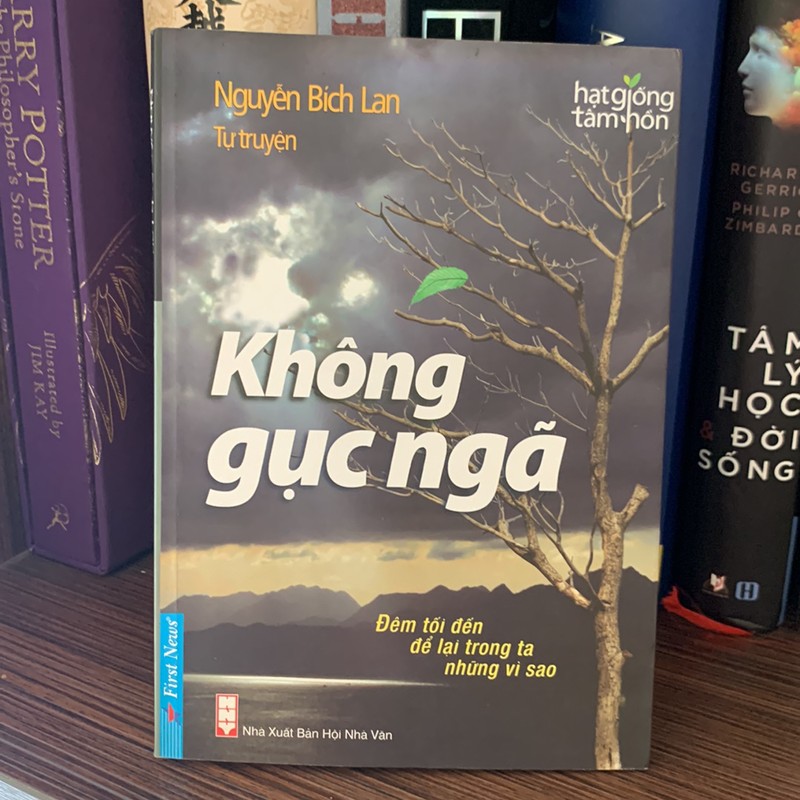 Không Gục Ngã - Tự Truyện Nguyễn Bích Lan - mới 90% 149505