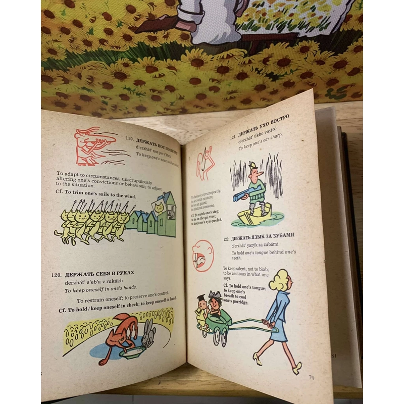 A Book of Russian Idioms Illustrated - M.I. Dubrovin 542014