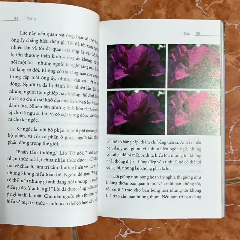 Đạo - Osho (sách màu) 1021828