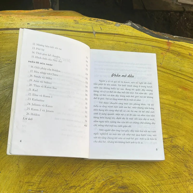 17 NGƯỜI MỘT GƯƠNG MẶT- RICHARD BAER 777987