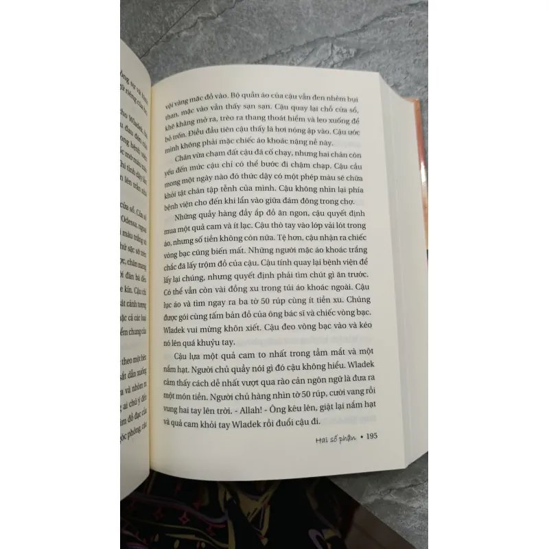 HAI SỐ PHẬN - NGUYỄN VIỆT HẢI 738816