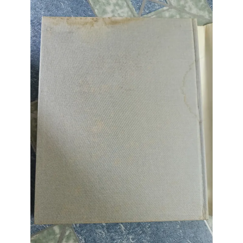 Splendid Florence - Giancarlo Gasponi 608972