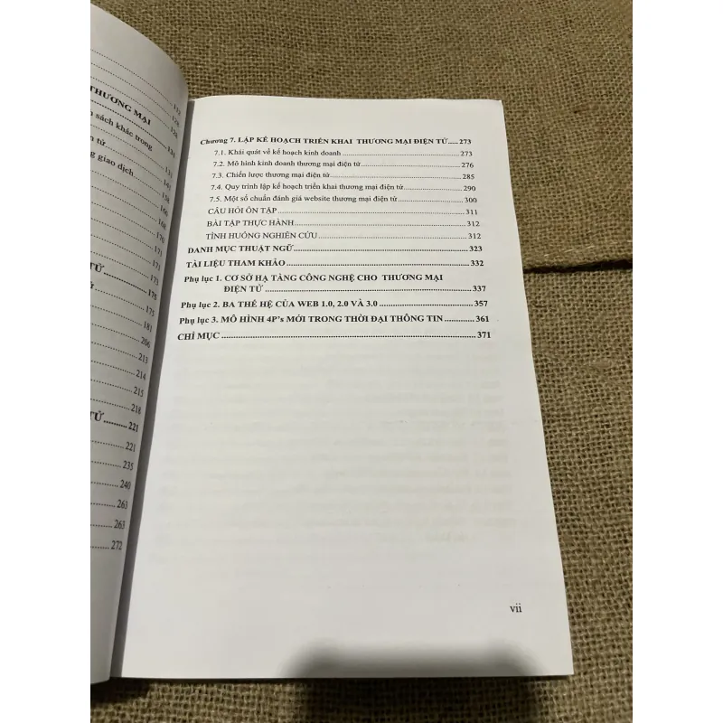 Giáo trình thương mại điện tử, gần 400 trang  797685