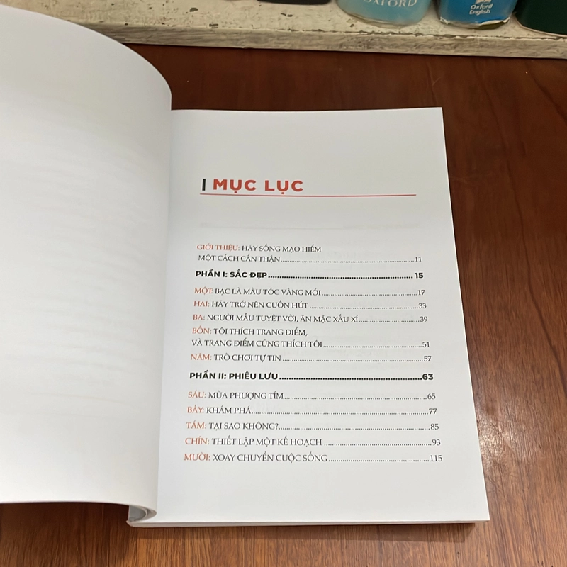 II Sách Kỹ Năng: Sống Mạo Hiểm Một Cách Cẩn Thận - MAYE MUSK - 2021 545095